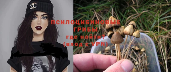 гидропоника Богородск